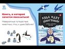 Куда идут пингвины? — фото, картинка — 1